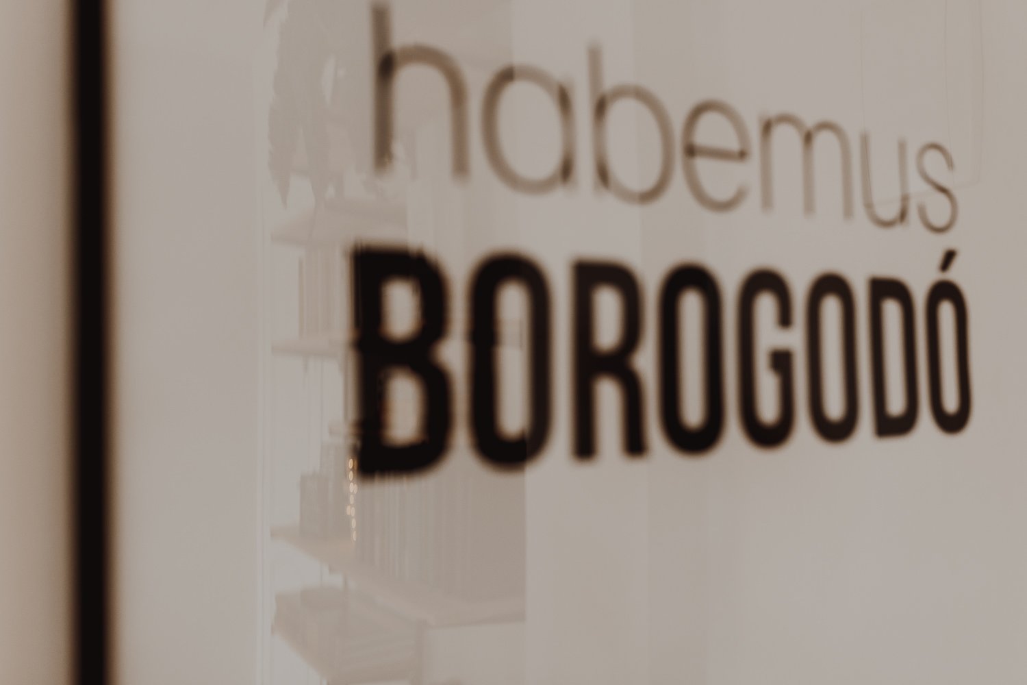 wedding photographer portugal Habemos Borogodo