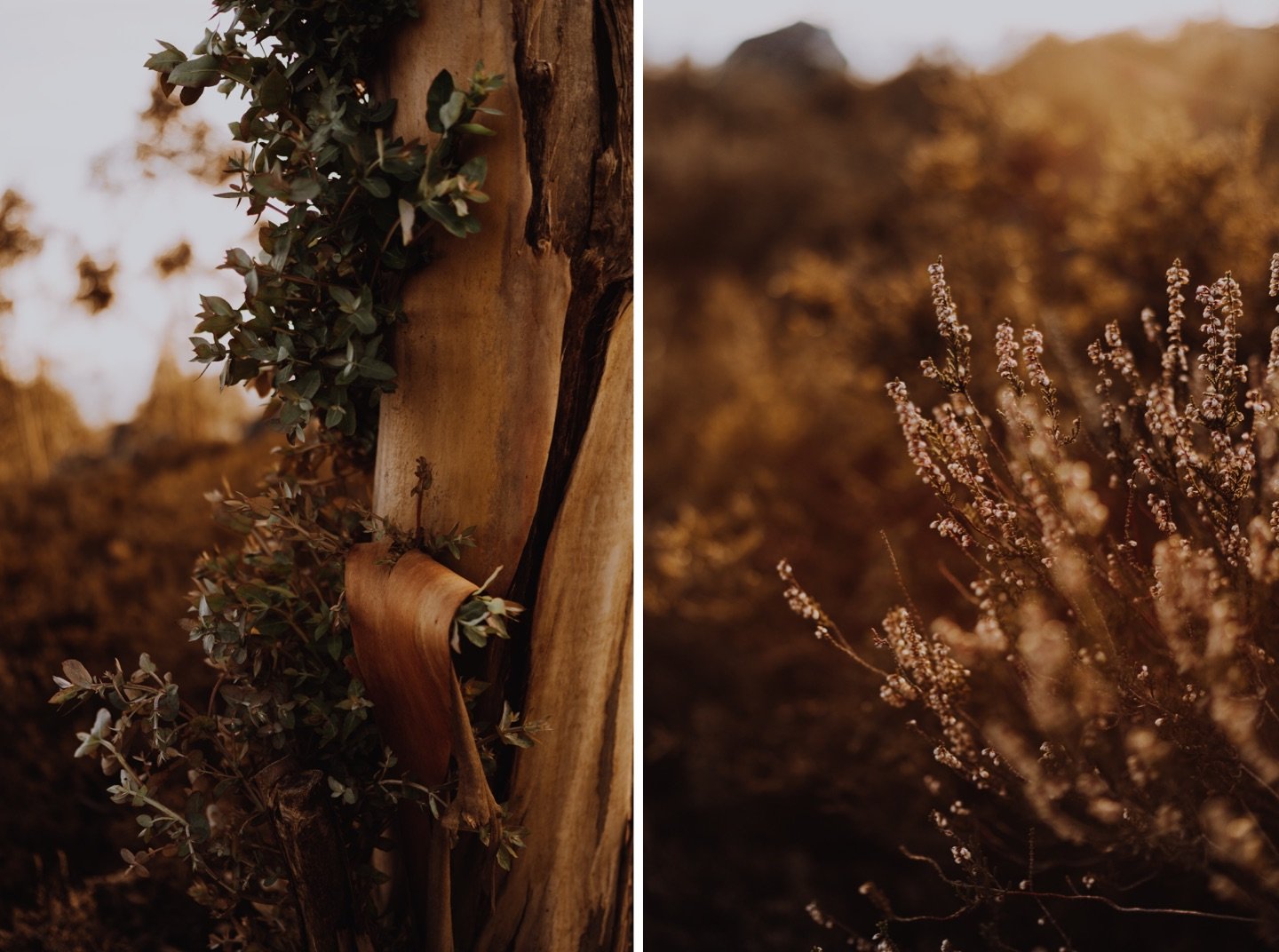 wedding photographer portugal wedding photographer in porto