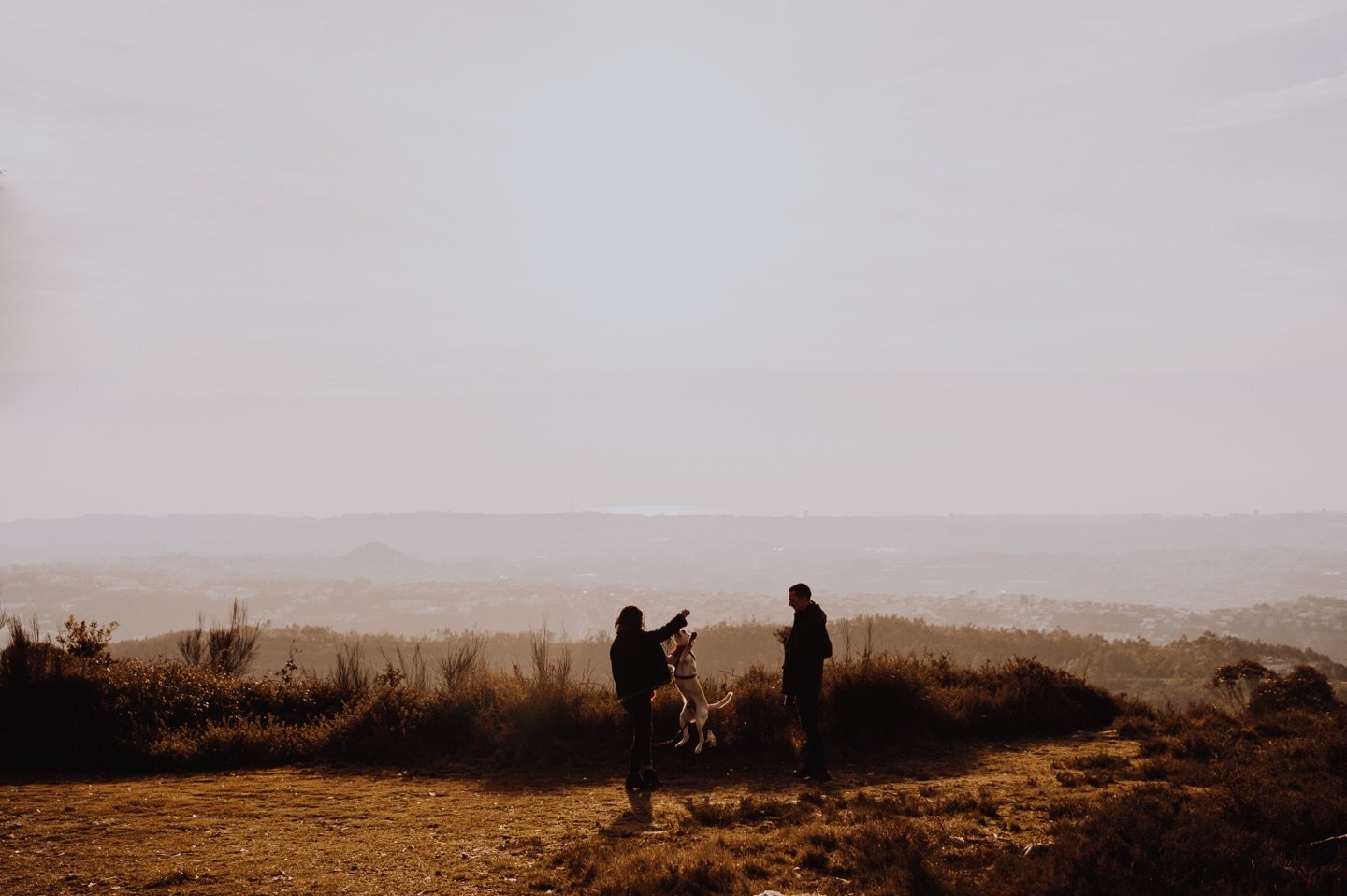 wedding photographer portugal two people playing with the dog