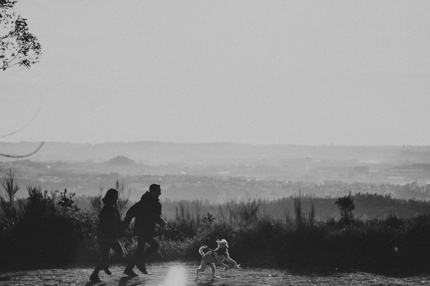 wedding photographer portugal two people playing with the dog