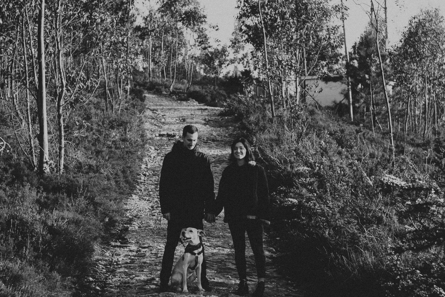 wedding photographer portugal two people playing with the dog