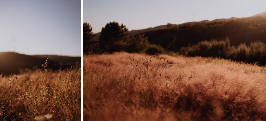 wedding photographer portugal sunlight and the nature